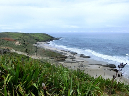 whangarei (55)